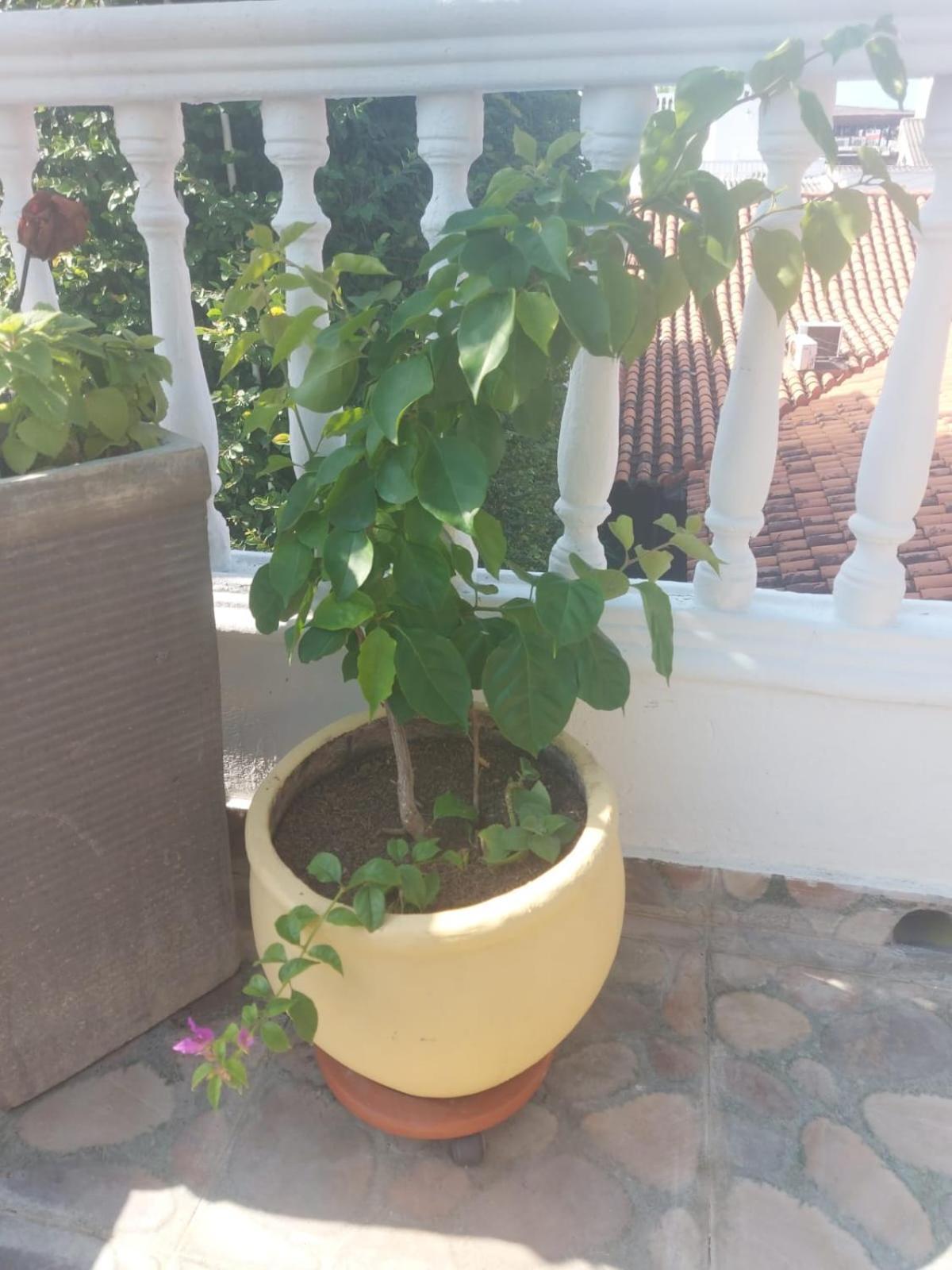 Zana Boutique 3* Cartagena (Kolumbien)